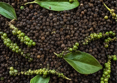 Piperine